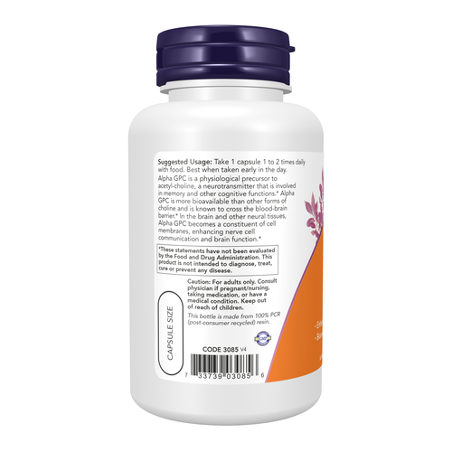 Alpha GPC 300 mg 60 Veg Capsules