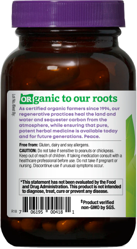 Astragalus 90 Organic Vegan Capsules
