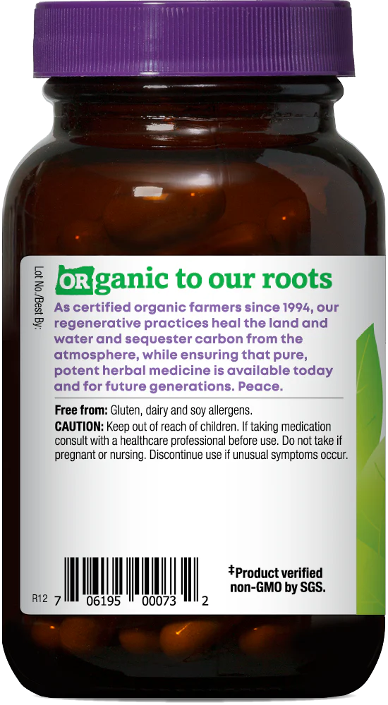 Bladderwrack 90 Capsules
