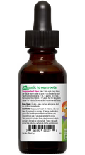 KIDS Echinacea Organic Alcohol-Removed 1 oz.