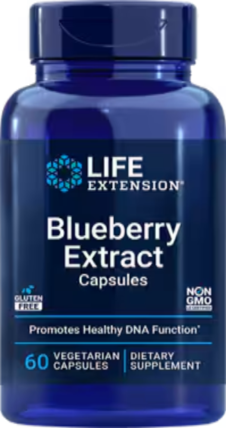 Blueberry Extract 60 Vegetarian Capsules