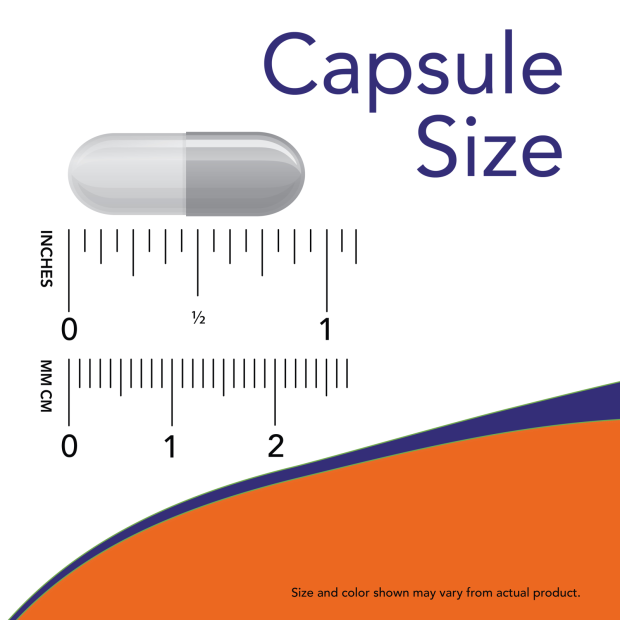 Alpha Lipoic Acid Extra Strength 600 mg 60 Veg Capsules