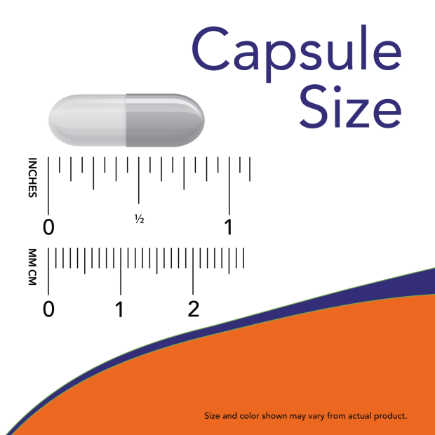 Alpha Lipoic Acid 250 mg 120 Veg Capsules