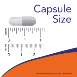 Psyllium Husk Caps 500 mg 200 Veg Capsules