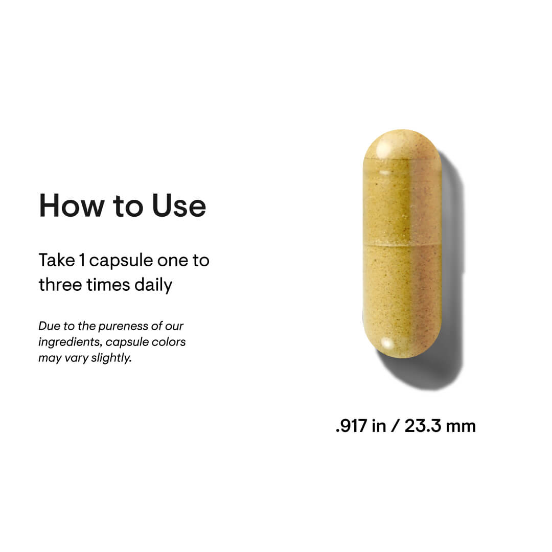 Basic B Complex - 60 Capsules
