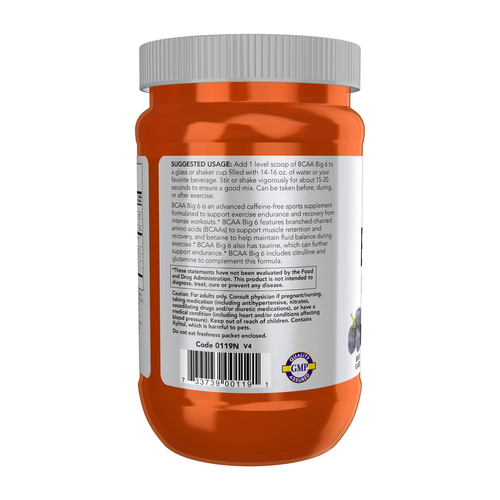 BCAA Big 6 Grape Flavor Powder 600 Grams