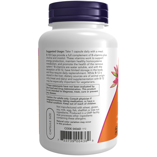 Vitamin B-100 100 Veg Capsules