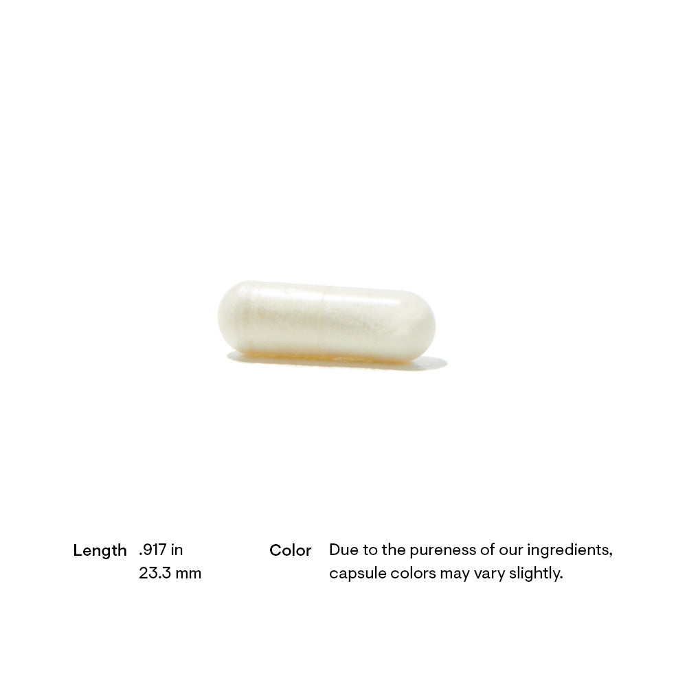 Advanced Digestive Enzymes 180 Capsules