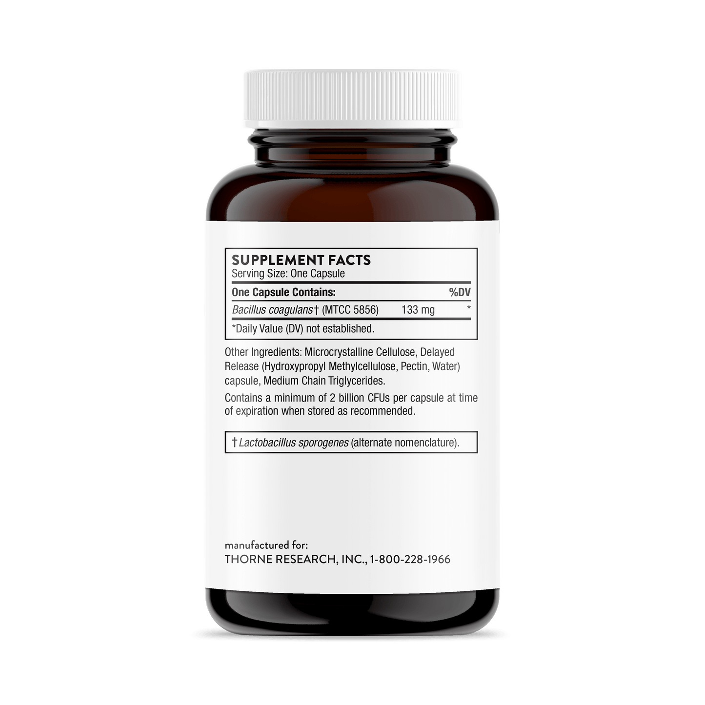 Bacillus Coagulans - 60 Capsules