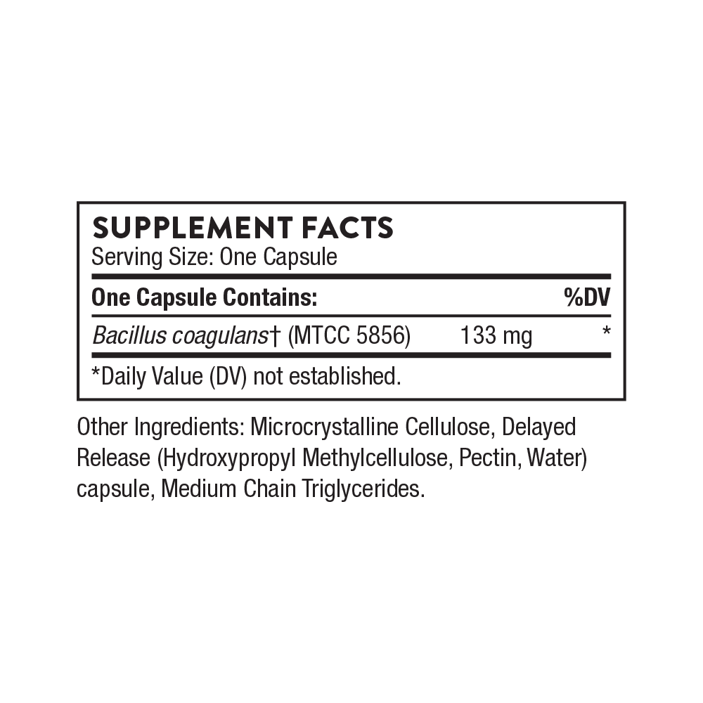 Bacillus Coagulans - 60 Capsules