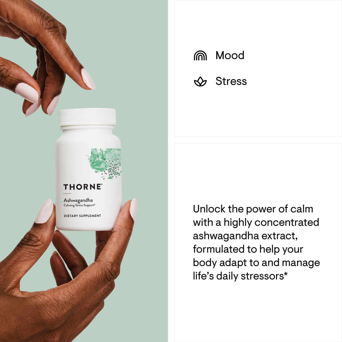 Ashwagandha - 30 Capsules