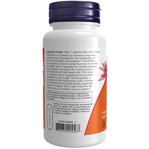 Vitamin B-6 100 mg 100 Veg Capsules