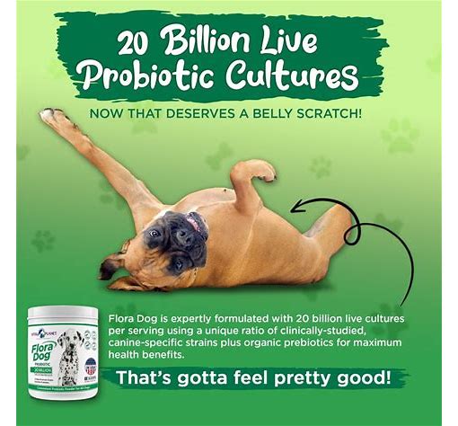 Vital Planet Flora DOG 20 Billion 10 Strain, 111 grams